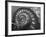 Infinity 1-Moises Levy-Framed Photographic Print