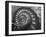 Infinity 1-Moises Levy-Framed Photographic Print