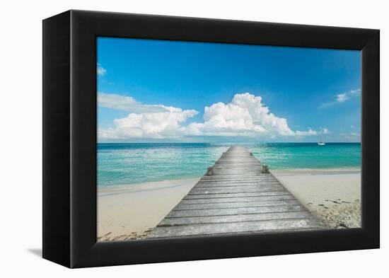 Infinity Pier-Danita Delimont-Framed Stretched Canvas