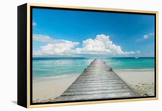 Infinity Pier-Danita Delimont-Framed Stretched Canvas