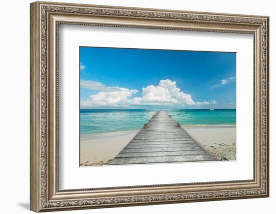 Infinity Pier-Danita Delimont-Framed Photo