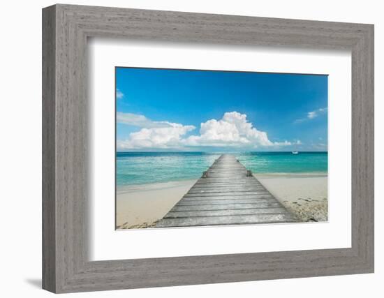 Infinity Pier-Danita Delimont-Framed Photo