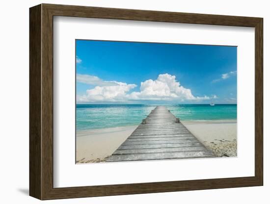 Infinity Pier-Danita Delimont-Framed Photo