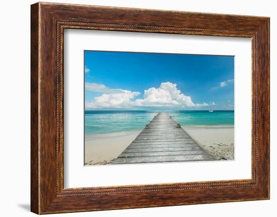 Infinity Pier-Danita Delimont-Framed Photo