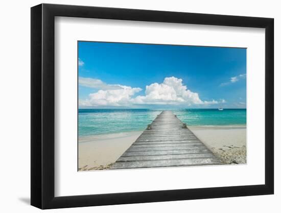 Infinity Pier-Danita Delimont-Framed Photo