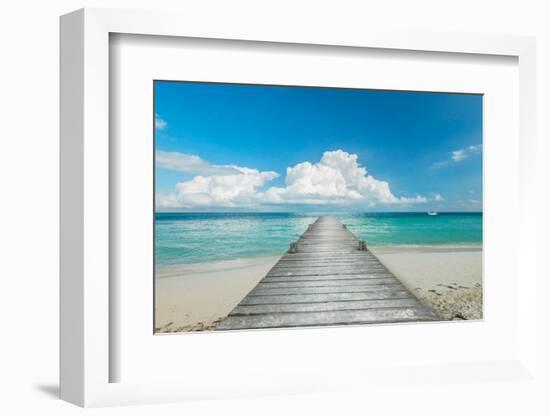 Infinity Pier-Danita Delimont-Framed Photo