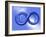 Infinity-Roger Harris-Framed Photographic Print