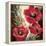 Influential Poppy-Brent Heighton-Framed Stretched Canvas