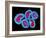 Influenza Viruses-Dr. Linda Stannard-Framed Photographic Print