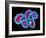 Influenza Viruses-Dr. Linda Stannard-Framed Photographic Print