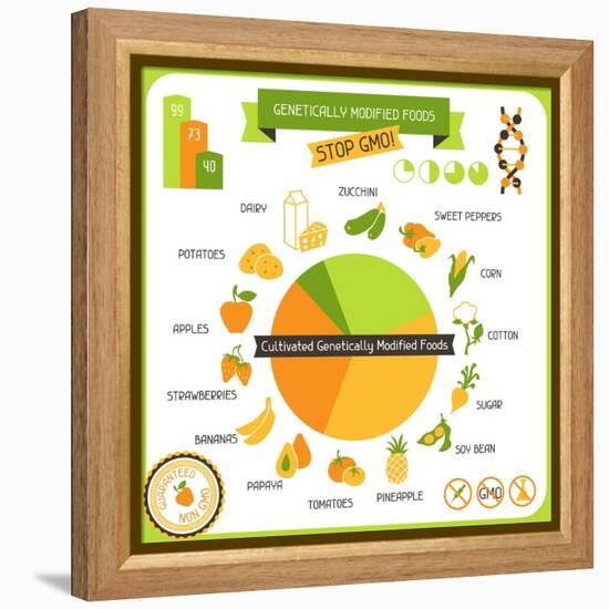 Information Poster Genetically Modified Foods-incomible-Framed Stretched Canvas