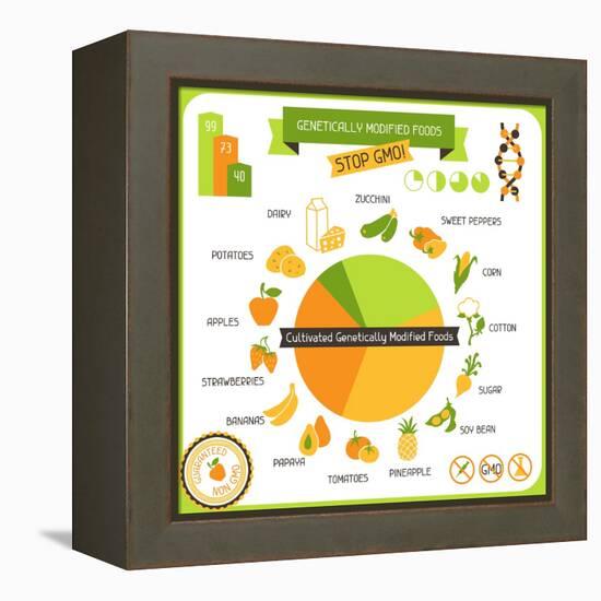 Information Poster Genetically Modified Foods-incomible-Framed Stretched Canvas