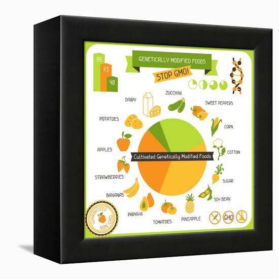 Information Poster Genetically Modified Foods-incomible-Framed Stretched Canvas