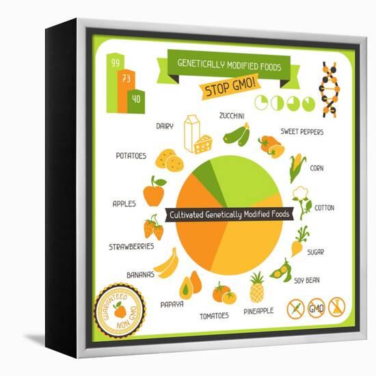 Information Poster Genetically Modified Foods-incomible-Framed Stretched Canvas