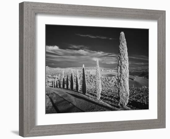 Infra Red Black and White View of Drive Lined with Cypress Trees, San Quirico D'Orcia, Tuscany, Ita-Adam Jones-Framed Photographic Print