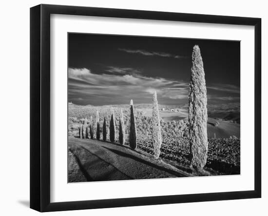 Infra Red Black and White View of Drive Lined with Cypress Trees, San Quirico D'Orcia, Tuscany, Ita-Adam Jones-Framed Photographic Print