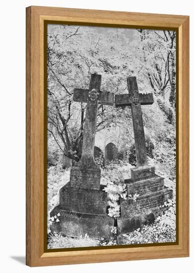 Infrared Image of the Graves in Highgate Cemetery, London, England, UK-Nadia Isakova-Framed Premier Image Canvas