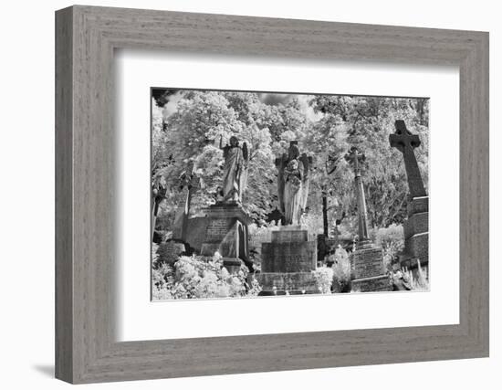 Infrared Image of the Graves in Highgate Cemetery, London, England, UK-Nadia Isakova-Framed Photographic Print