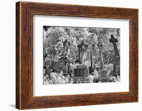 Infrared Image of the Graves in Highgate Cemetery, London, England, UK-Nadia Isakova-Framed Photographic Print