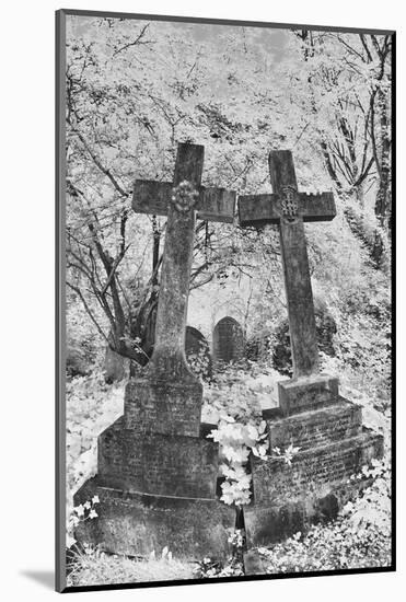 Infrared Image of the Graves in Highgate Cemetery, London, England, UK-Nadia Isakova-Mounted Photographic Print