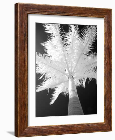Infrared Landscape, Molokai, Hawaii, Usa-Connie Bransilver-Framed Photographic Print