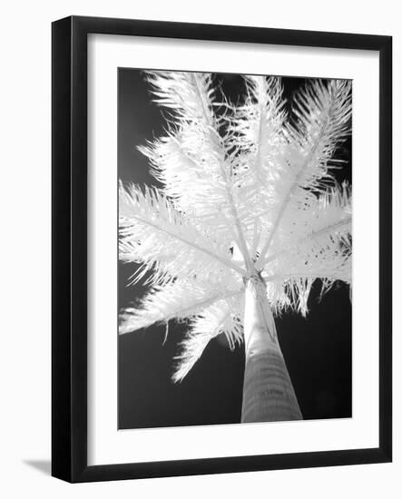Infrared Landscape, Molokai, Hawaii, Usa-Connie Bransilver-Framed Photographic Print