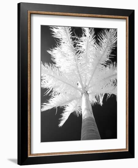 Infrared Landscape, Molokai, Hawaii, Usa-Connie Bransilver-Framed Photographic Print