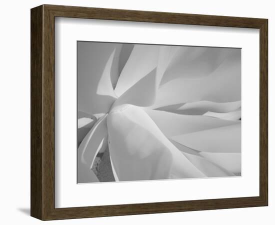 Infrared Landscape, Molokai, Hawaii, Usa-Connie Bransilver-Framed Photographic Print