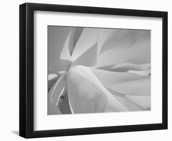 Infrared Landscape, Molokai, Hawaii, Usa-Connie Bransilver-Framed Photographic Print