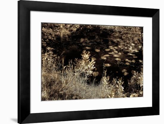 Infrared Pond 4-Jean-François Dupuis-Framed Art Print