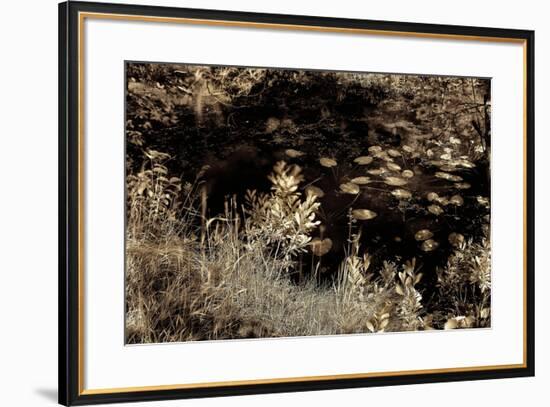 Infrared Pond 4-Jean-François Dupuis-Framed Art Print