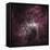 Infrared View of the Carina Nebula-null-Framed Premier Image Canvas