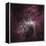 Infrared View of the Carina Nebula-null-Framed Premier Image Canvas