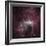 Infrared View of the Carina Nebula-null-Framed Photographic Print