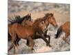 Photographic Print