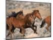 Photographic Print