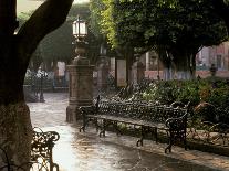 Early Morning, El Jardin, San Miguel de Allende, Mexico-Inger Hogstrom-Photographic Print