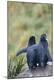 Premium Photographic Print