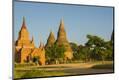 Premium Photographic Print
