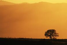 Myanmar. Mandalay. Amarapura. Tourists on the U Bein Bridge at Sunset-Inger Hogstrom-Photographic Print