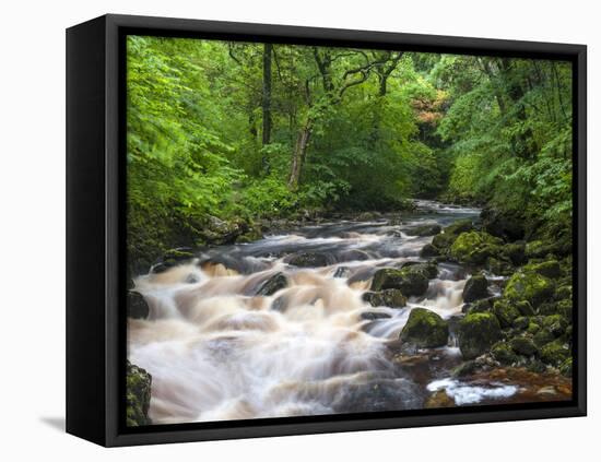 Ingleton Waterfalls, River Twiss, Ingleton, Yorkshire Dales, Yorkshire, England, UK, Europe-Chris Hepburn-Framed Premier Image Canvas