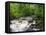 Ingleton Waterfalls, River Twiss, Ingleton, Yorkshire Dales, Yorkshire, England, UK, Europe-Chris Hepburn-Framed Premier Image Canvas