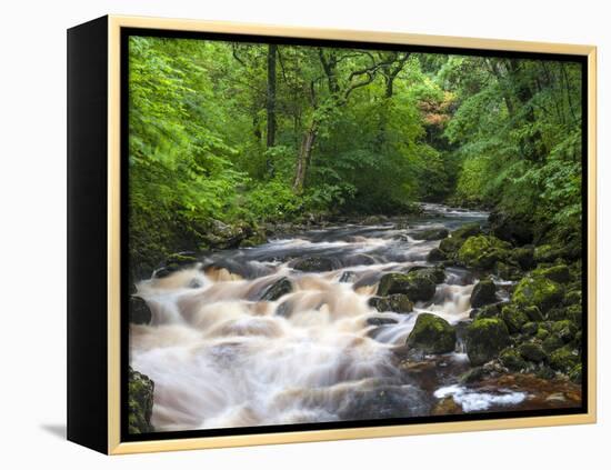 Ingleton Waterfalls, River Twiss, Ingleton, Yorkshire Dales, Yorkshire, England, UK, Europe-Chris Hepburn-Framed Premier Image Canvas