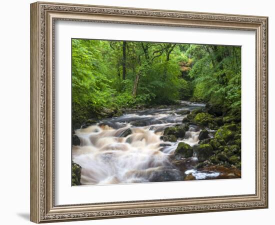 Ingleton Waterfalls, River Twiss, Ingleton, Yorkshire Dales, Yorkshire, England, UK, Europe-Chris Hepburn-Framed Photographic Print