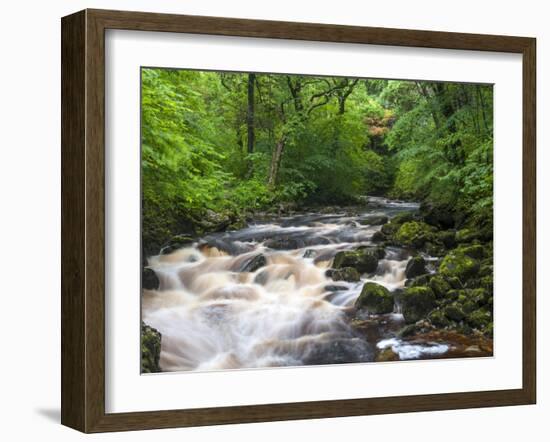 Ingleton Waterfalls, River Twiss, Ingleton, Yorkshire Dales, Yorkshire, England, UK, Europe-Chris Hepburn-Framed Photographic Print