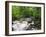 Ingleton Waterfalls, River Twiss, Ingleton, Yorkshire Dales, Yorkshire, England, UK, Europe-Chris Hepburn-Framed Photographic Print