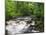 Ingleton Waterfalls, River Twiss, Ingleton, Yorkshire Dales, Yorkshire, England, UK, Europe-Chris Hepburn-Mounted Photographic Print