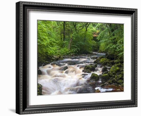 Ingleton Waterfalls, River Twiss, Ingleton, Yorkshire Dales, Yorkshire, England, UK, Europe-Chris Hepburn-Framed Photographic Print