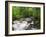 Ingleton Waterfalls, River Twiss, Ingleton, Yorkshire Dales, Yorkshire, England, UK, Europe-Chris Hepburn-Framed Photographic Print