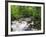 Ingleton Waterfalls, River Twiss, Ingleton, Yorkshire Dales, Yorkshire, England, UK, Europe-Chris Hepburn-Framed Photographic Print